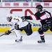 David Makowski Photo 21