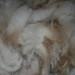 Cindy Meadows Photo 21