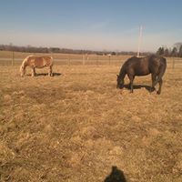 Shelly Land Photo 8