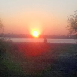 Frederick Bush Photo 6