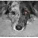 Laura Bonta Photo 5
