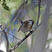 Lea Riddle Photo 12