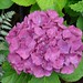 Phillip Bloom Photo 24