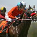 Marcus Proctor Photo 38