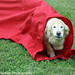 Nicole Fischer Photo 18