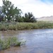Douglas Carson Photo 12