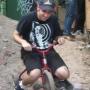 Steve Shea Photo 22