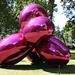 James Koon Photo 10