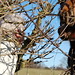 Teresa Hedges Photo 17