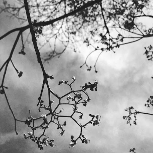 Heather Lundy Photo 33