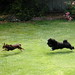 Linda Sealy Photo 21
