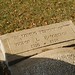 Sandy Weekes Photo 10