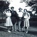 Clifford Nelson Photo 30