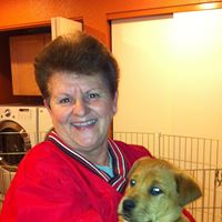 Pam Buckner Photo 13