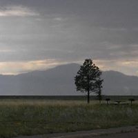 Janet Linder Photo 9