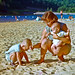 Bruce Paddy Photo 15