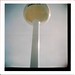 Diana Webster Photo 19