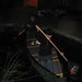 Janice Massey Photo 3