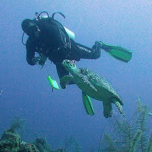 Mark Castillo Photo 16