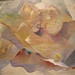 Steven Wills Photo 39