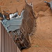 Frank Alli Photo 9