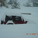 Julie Brannon Photo 9