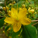 Sharon Kent Photo 40