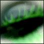 Donna Green Photo 7