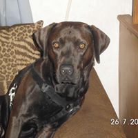 Kathy Simonds Photo 13
