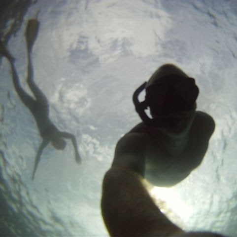 David Moseley Photo 39