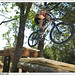 Shane Draper Photo 28