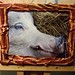 Dennis Bacon Photo 11