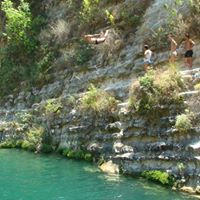Alessandro Baccini Photo 2