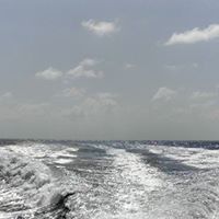 James Myrick Photo 30