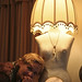 Susan Vaughan Photo 38