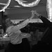 Terri Mcpherson Photo 12