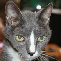 Tabitha Garrison Photo 20
