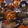 Kevin Agee Photo 32