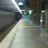 Robert Falcone Photo 34