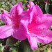 John Franz Photo 45