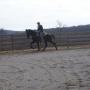 Joe Lester Photo 33