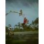 Austin Flynn Photo 19