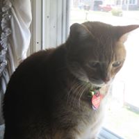 Carolyn Matheson Photo 6