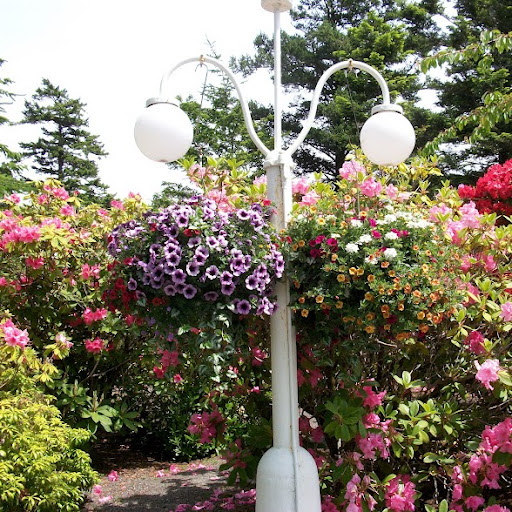 Heidi Williamson Photo 36