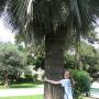 Marcy Sanders Photo 24