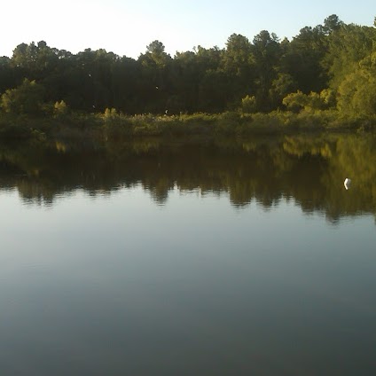 T Lawrence Photo 20