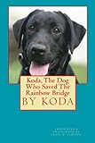 Koda: The Dog Who Saved The Rainbow Bridge