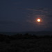 Jason Vining Photo 11