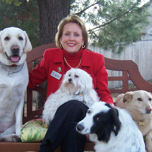 Nancy Higgins Photo 29