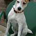 Darla Sharp Photo 3